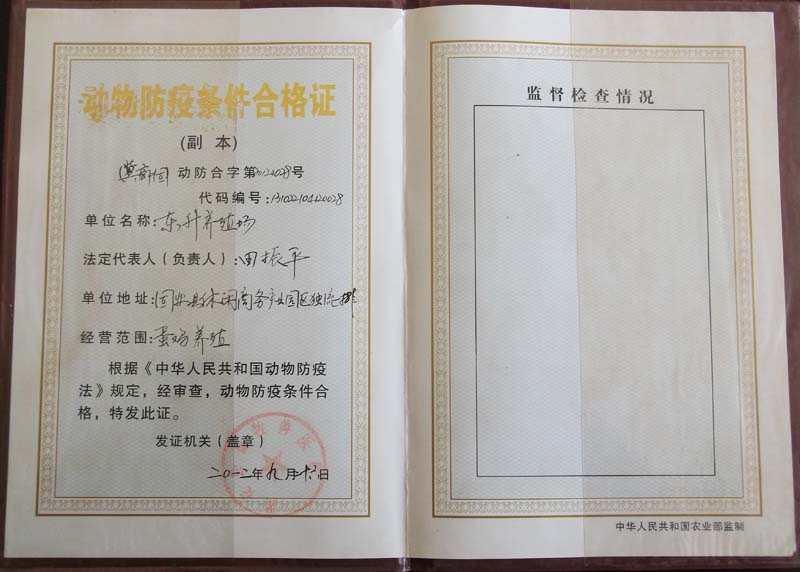 荣誉资质二