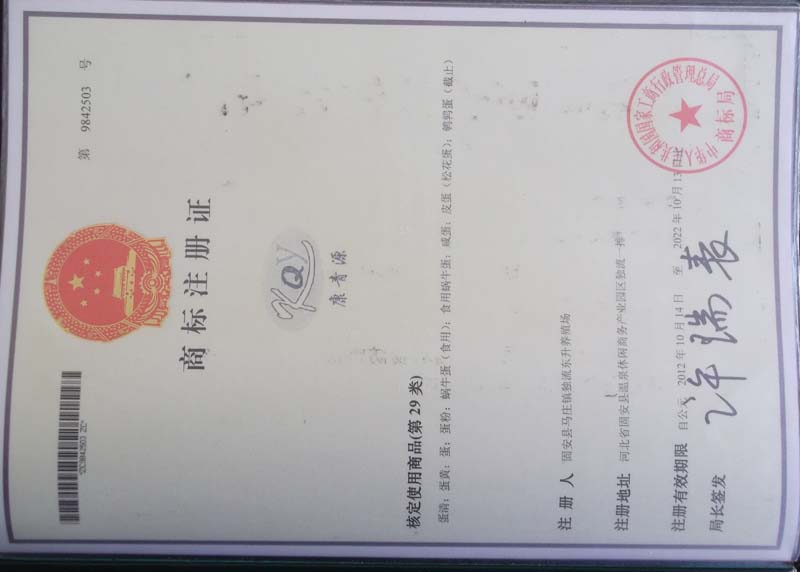 荣誉资质三