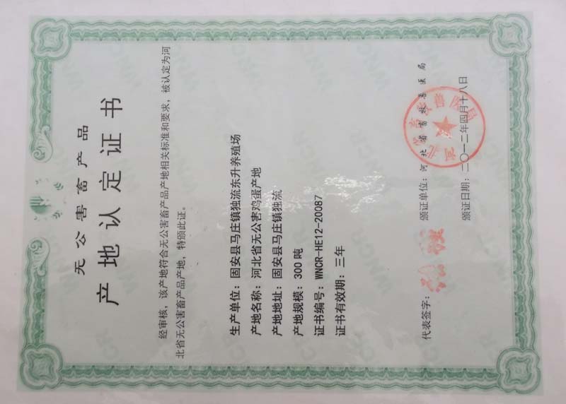 荣誉资质五