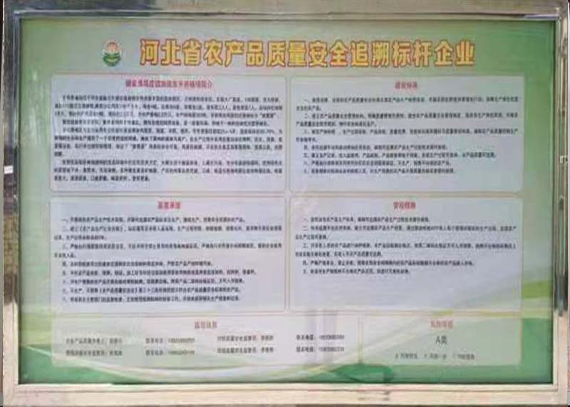 荣誉资质十