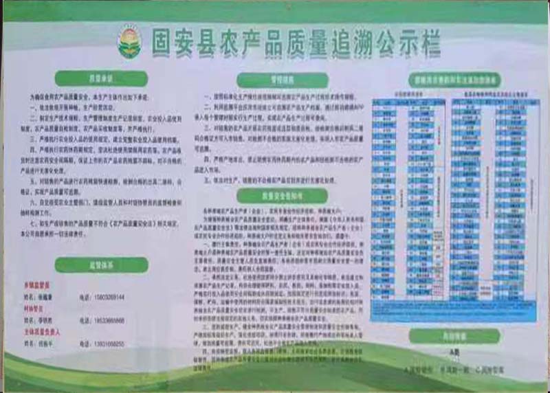 荣誉资质十一